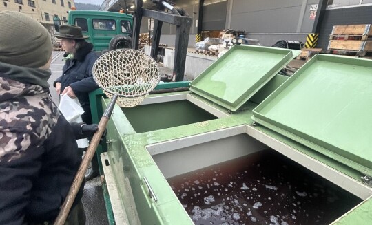 🎄 Kapříci připlavali do Excalibur Army 🐟